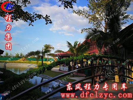 上述图为美不胜收的芭提雅热带风景区
