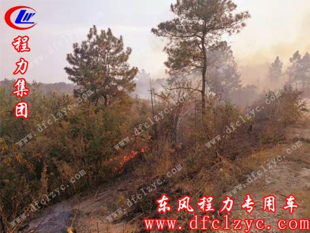 山间刚刚起火顺势蔓延