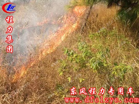 府河镇钰山村山火现场