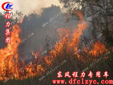 府河镇钰山村山火现场