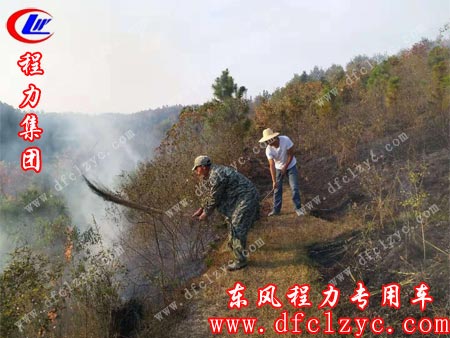 大家奋力灭火