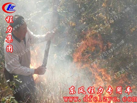大家奋力灭火