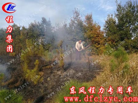 大火被扑灭